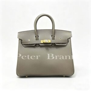 Hermès Birkin 20 Togo Leather Handbag in Etoupe with Gold Hardware