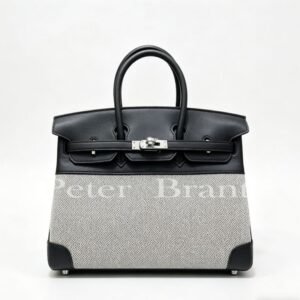 Hermès Birkin 25 Two-Tone Canvas & Swift Leather Handbag with Palladium Hardware