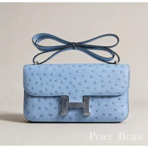 Constance Elan Blue ostrich skin26